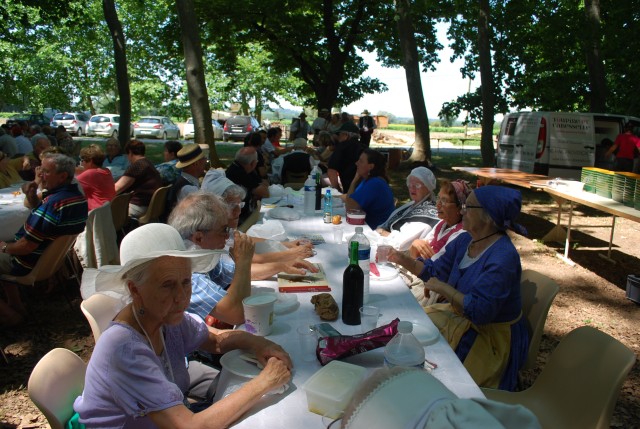 Moisson bedarrides 2014_20.jpg