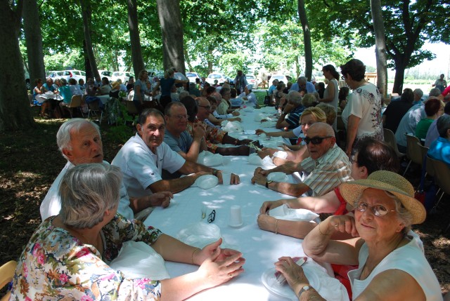 Moisson bedarrides 2014_23.jpg