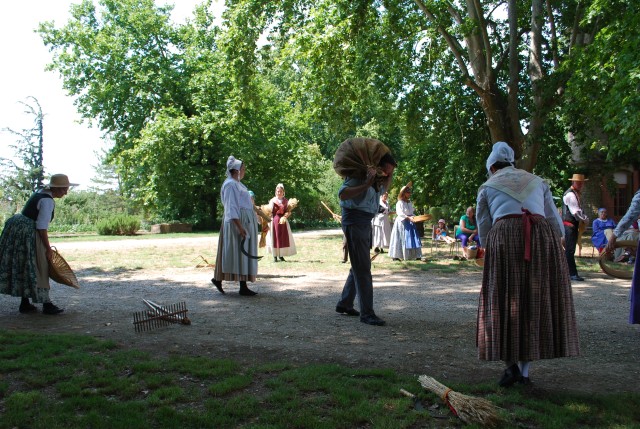 Moisson bedarrides 2014_39.jpg