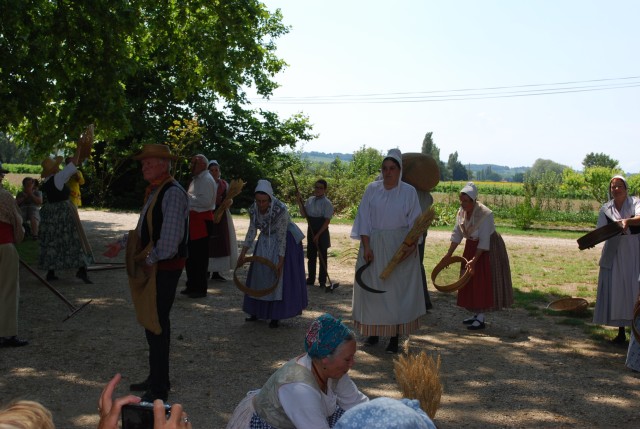 Moisson bedarrides 2014_42.jpg