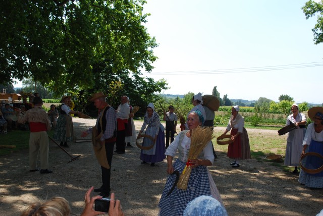 Moisson bedarrides 2014_43.jpg