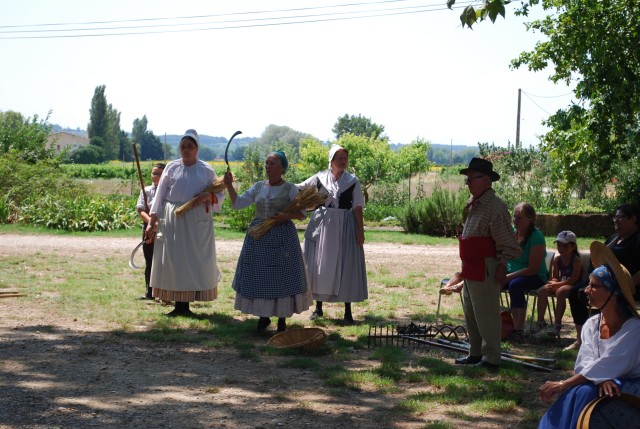 Moisson bedarrides 2014_45.jpg