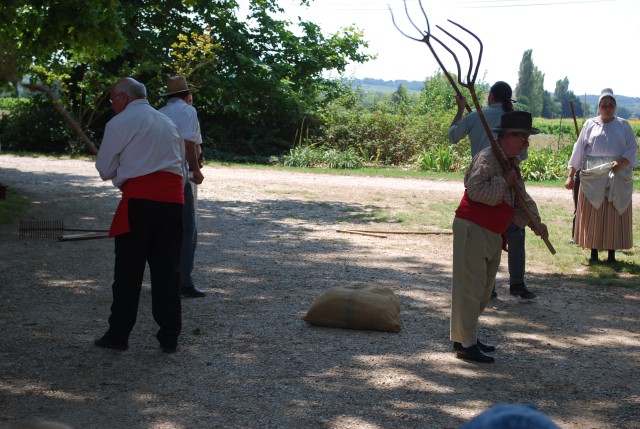 Moisson bedarrides 2014_48.jpg
