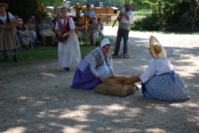 Moisson bedarrides 2014_50.jpg