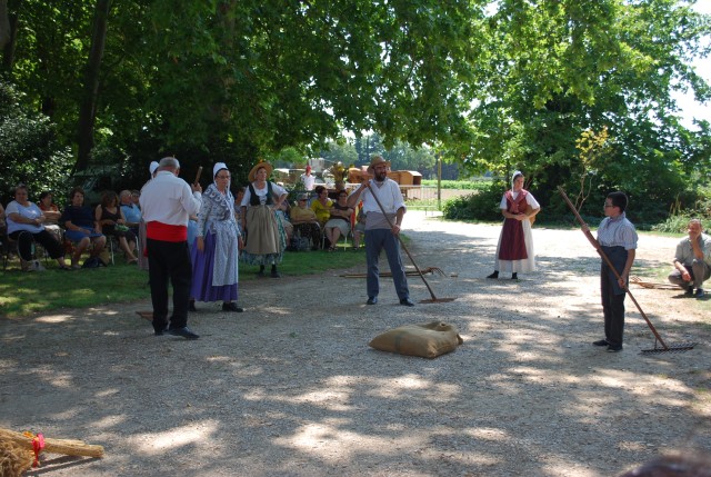 Moisson bedarrides 2014_52.jpg