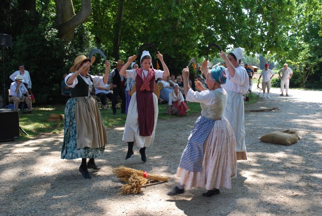 Moisson bedarrides 2014_53.jpg