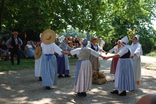 Moisson bedarrides 2014_54.jpg