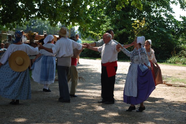Moisson bedarrides 2014_56.jpg