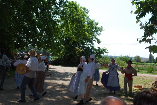 Moisson bedarrides 2014_57.jpg