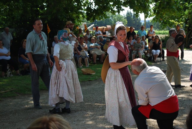 Moisson bedarrides 2014_61.jpg