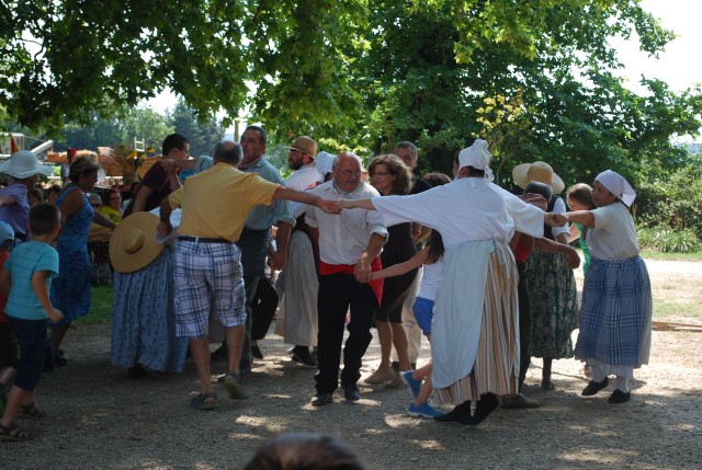Moisson bedarrides 2014_66.jpg