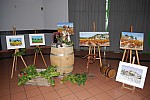 fete vendanges 2016_02.jpg