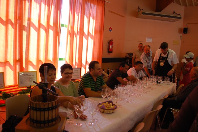 fete_vendanges_2010_13.jpg