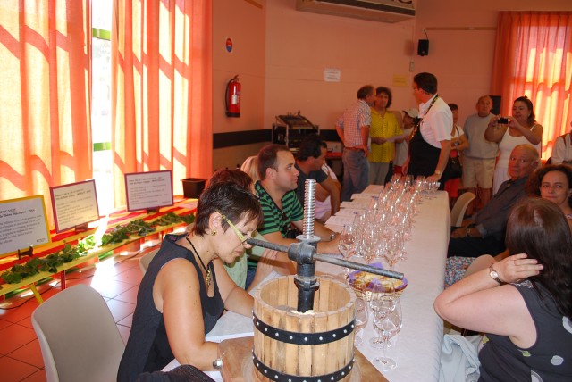 fete_vendanges_2010_14.jpg