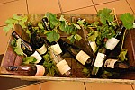 fete_vendanges_2010_10.jpg