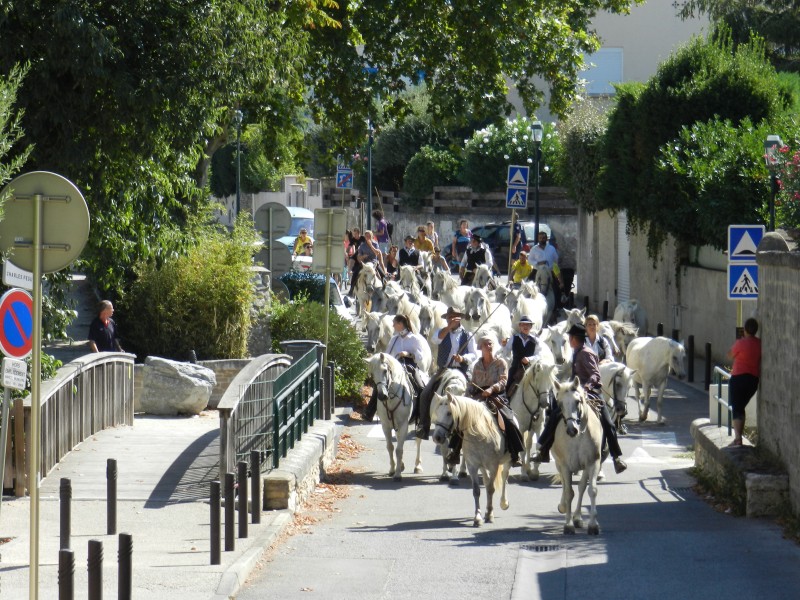bouillargues 2022_16.jpg