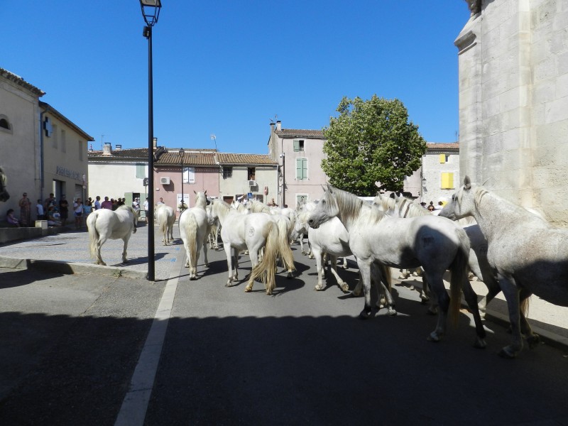 bouillargues 2022_27.jpg