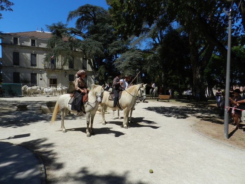 bouillargues 2022_37.jpg