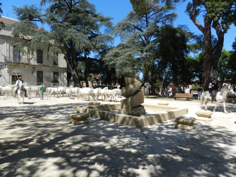 bouillargues 2022_40.jpg
