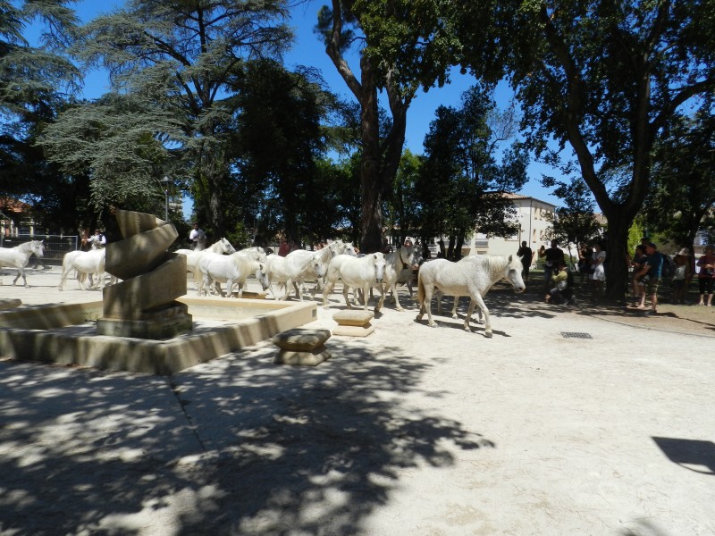 bouillargues 2022_41.jpg