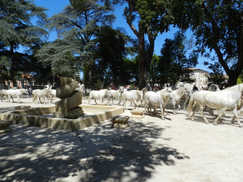 bouillargues 2022_42.jpg