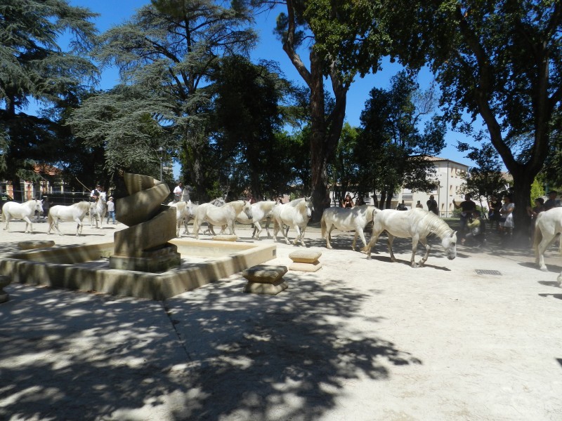 bouillargues 2022_43.jpg
