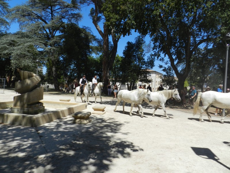 bouillargues 2022_44.jpg