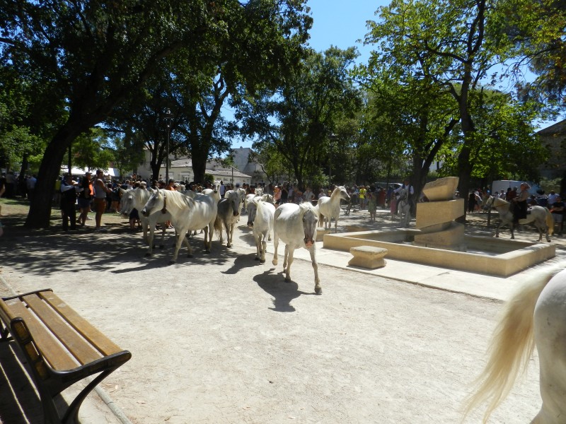 bouillargues 2022_48.jpg