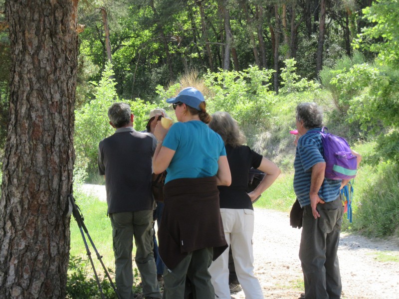 Rando Entrechaux  2023_52.jpg