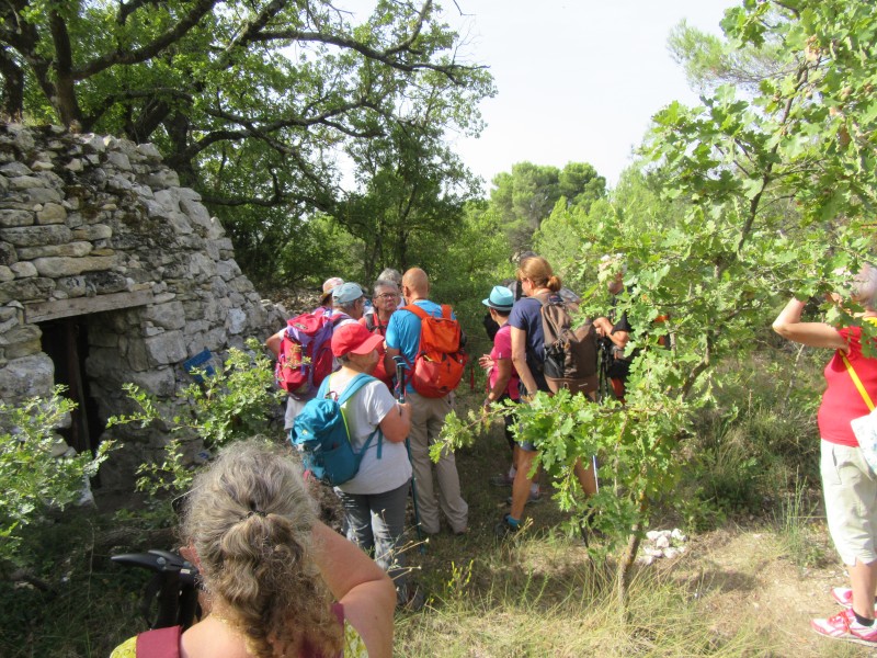 rando mazan malemort18.09 (12).jpg