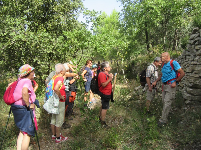 rando mazan malemort18.09 (15).jpg