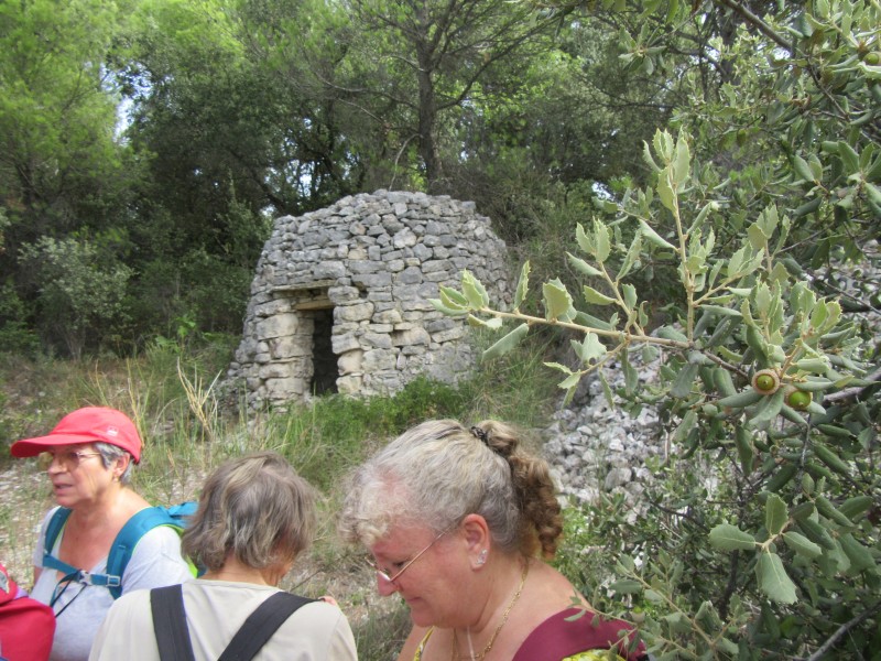 rando mazan malemort18.09 (9).jpg