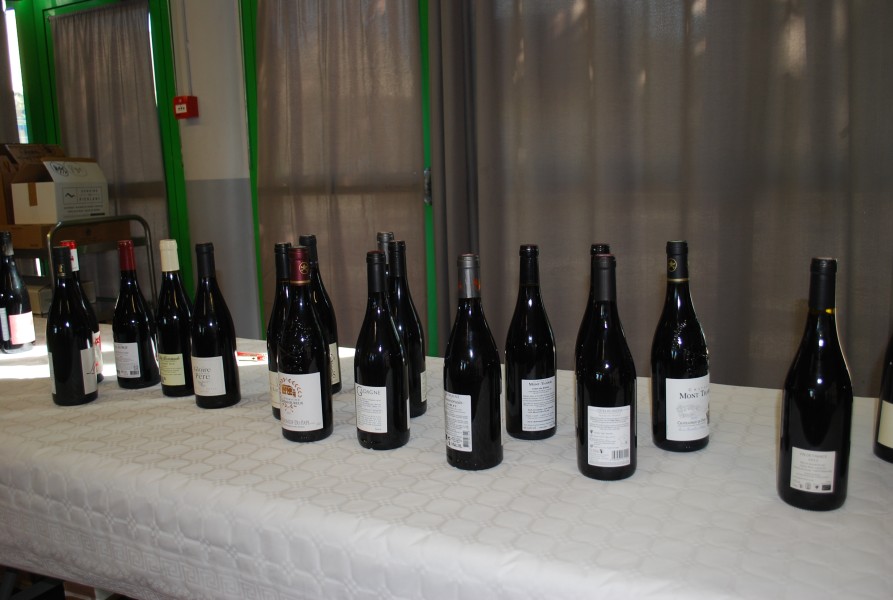 Vendanges Beda 2023_03.jpg