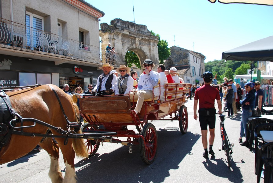 Foire_chevaux_beda_2024_36.jpg