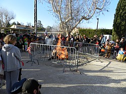 carnaval Beda 2024_56.jpg carnaval Beda 2024_56.jpg