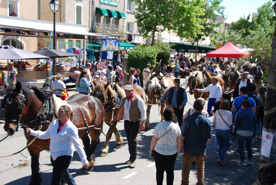 Foire_chevaux_beda_2024_49.jpg