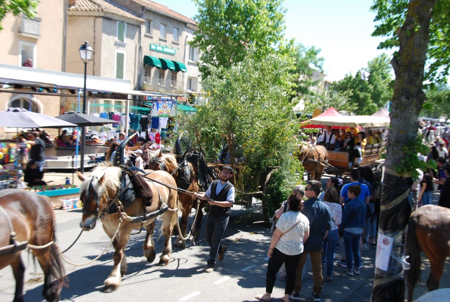 Foire_chevaux_beda_2024_50.jpg