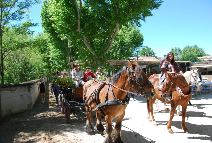 Foire_chevaux_beda_2024_94.jpg