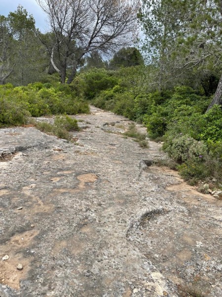 St-etienne du Gres_2024_14.jpg