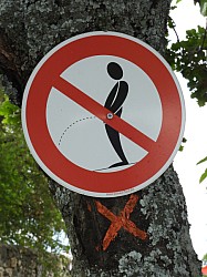 DSCN3418.jpg DSCN3418.jpg