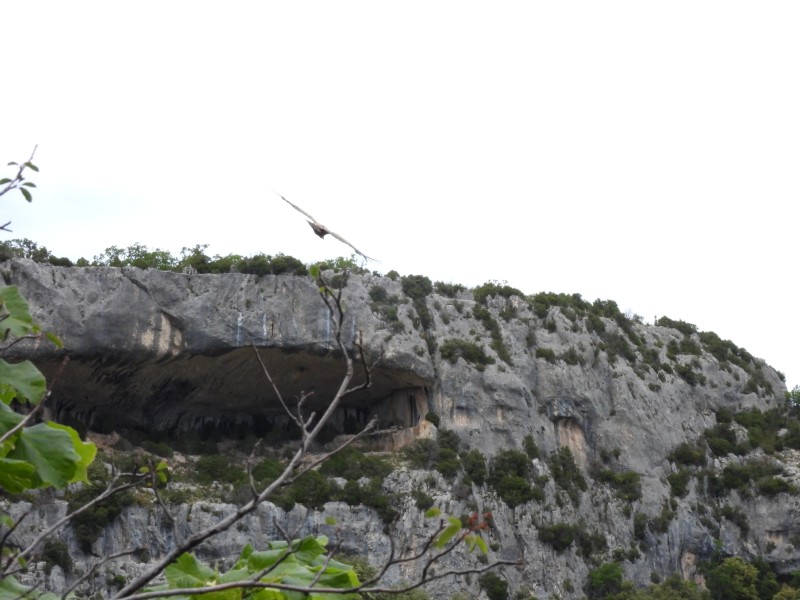 DSCN3457.jpg