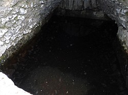 DSCN3431.jpg DSCN3431.jpg