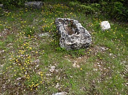 DSCN3433.jpg DSCN3433.jpg