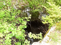 DSCN3436.jpg DSCN3436.jpg