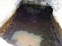 DSCN3437.jpg DSCN3437.jpg