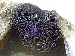 DSCN3438.jpg DSCN3438.jpg