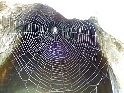 DSCN3439.jpg DSCN3439.jpg