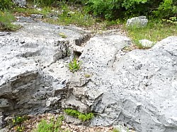 DSCN3440.jpg DSCN3440.jpg