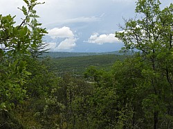 DSCN3444.jpg DSCN3444.jpg