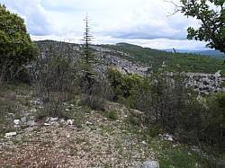 DSCN3446.jpg DSCN3446.jpg